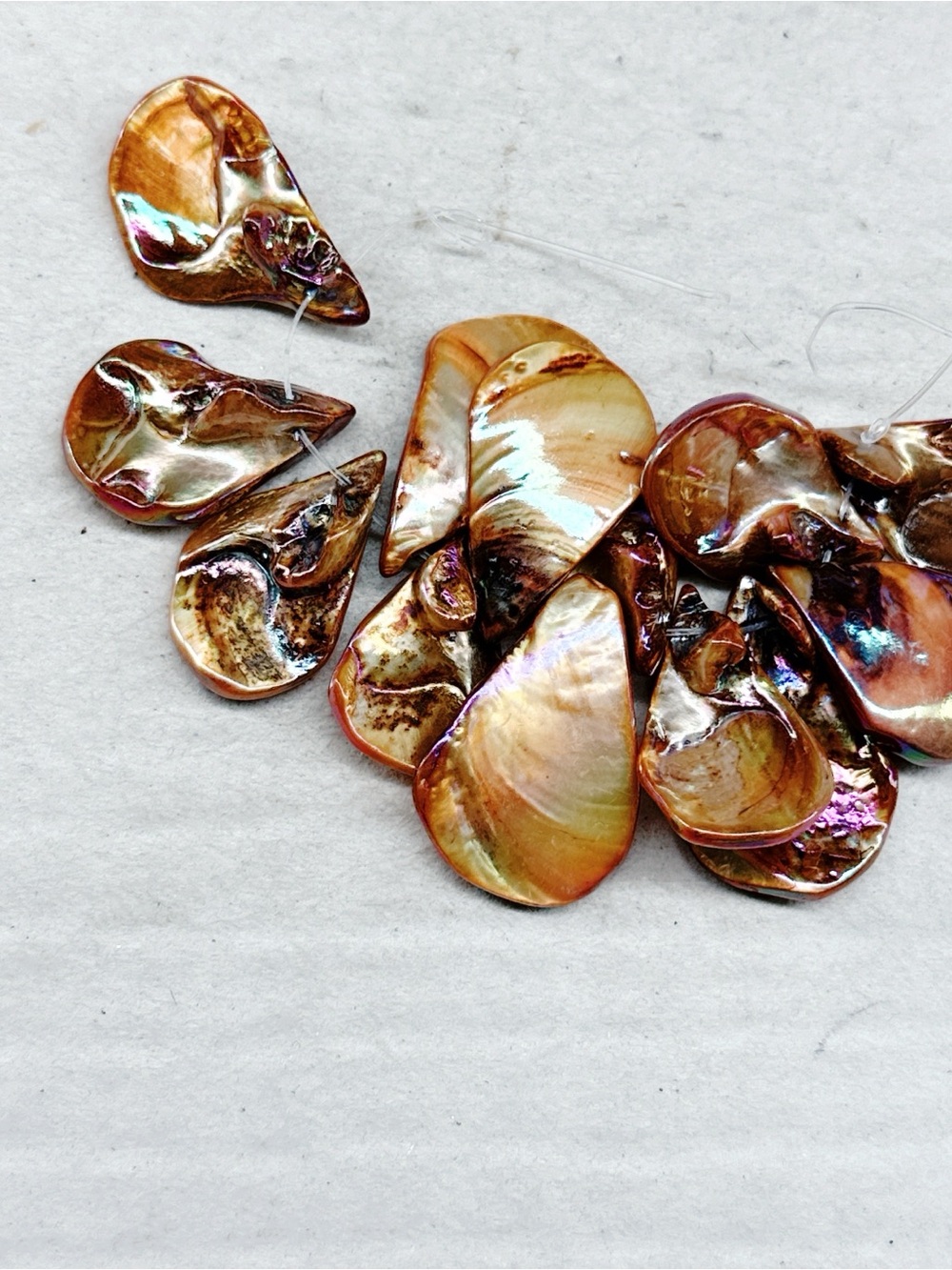 171gc. Shell Beads Jewelry Making